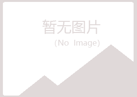 阳江字迹工程有限公司